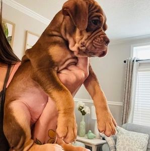 Meet your Posher, Tina